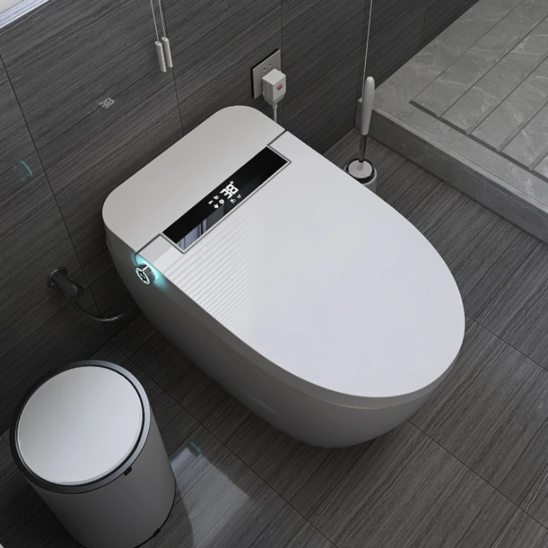 Auto Flush Intelligent Smart Electric Automatic Toilet