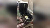 Schwarzgoldenes Badezimmer-Keramik-Tiefwaschbecken, einteiliges WC P