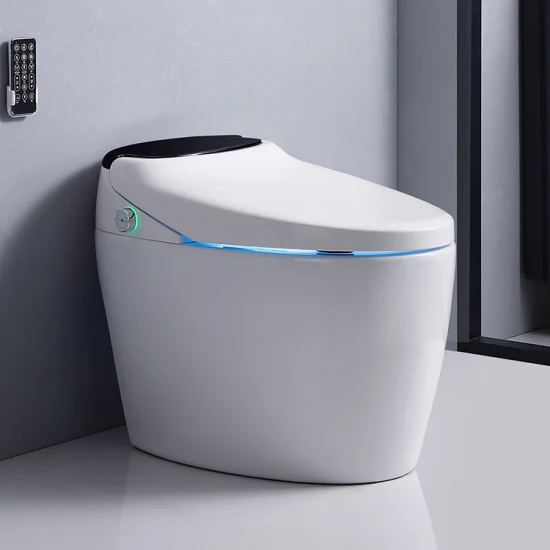 Chaozhou Sanitärkeramik, 110 V/220 V, Porzellan, automatisches europäisches Badezimmer, Sensor, automatische Spülung, intelligente Toilette, intelligente Toilette mit Toilettensitz